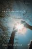 Go to record An accidental light : a novel