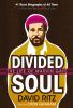 Go to record Divided soul the life of Marvin Gaye