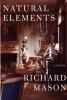Go to record Natural elements : a novel