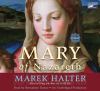 Go to record Mary of Nazareth [a novel]