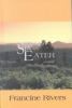 Go to record The last sin eater : a novel