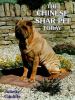 Go to record The Chinese Shar Pei today