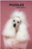 Go to record Poodles