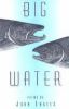 Go to record Big water ; poems