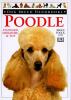 Go to record Poodle