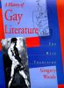 Go to record A history of gay literature : the male tradition