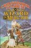 Go to record A wizard in Midgard