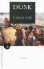 Go to record Dusk : a novel