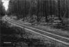 Go to record Lebensraum : extermination camps of the Third Reich