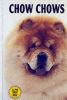 Go to record Chow Chows
