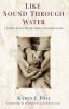 Go to record Like sound through water : a mother's journey through audi...