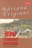 Go to record Big Cherry Holler : a Big Stone Gap novel