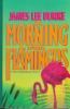 Go to record A morning for flamingos