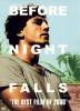 Go to record Before night falls