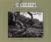 Go to record Abiding : landscape of the soul
