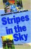 Go to record Stripes in the sky