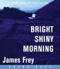 Go to record Bright shiny morning