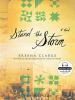 Go to record Stand the storm [a novel]