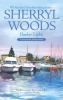 Go to record Harbor lights : a Chesapeake Shores novel