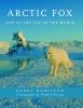 Go to record Arctic fox : life at the top of the world