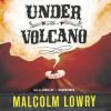 Go to record Under the volcano