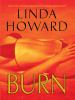 Go to record Burn : [a novel]