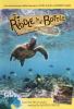 Go to record The riddle in a bottle
