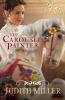 Go to record The carousel painter / [a novel]