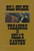 Go to record Treasure in Hell's Canyon
