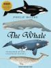 Go to record The whale
