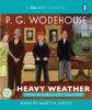 Go to record Heavy weather