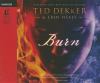 Go to record Burn