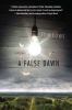 Go to record A false dawn : [a mystery]