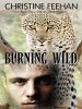 Go to record Burning wild