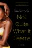 Go to record Not quite what it seems : [a novel]