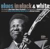 Go to record Blues in black & white : the landmark Ann Arbor blues fest...