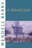Go to record A world lost : a novel