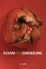 Go to record Assam & Darjeeling : a novel