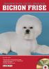 Go to record Bichon frise