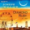 Go to record Diamond Ruby a novel