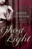 Go to record Ghost light : [a novel]