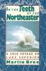 Go to record In the teeth of the Northeaster : a solo voyage on Lake Su...