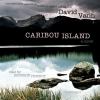 Go to record Caribou Island a novel