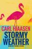 Go to record Stormy weather