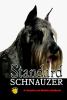 Go to record Standard schnauzer : a complete and reliable handbook / Ba...