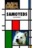 Go to record Samoyeds