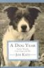 Go to record A dog year : twelve months, four dogs, and me