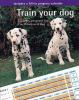 Go to record Train your dog : a weekly program for a well-behaved dog