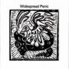 Go to record Widespread Panic
