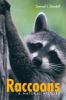 Go to record Raccoons : a natural history